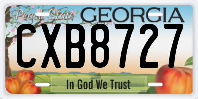 GA license plate CXB8727