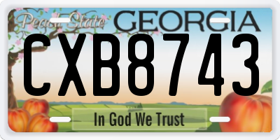 GA license plate CXB8743
