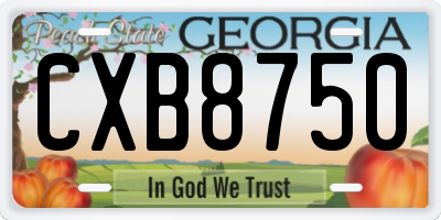 GA license plate CXB8750