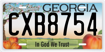 GA license plate CXB8754