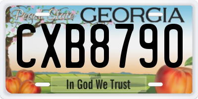 GA license plate CXB8790
