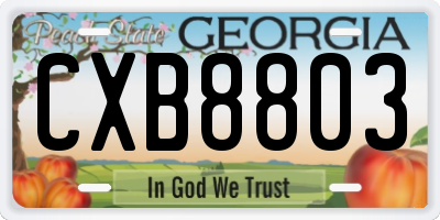 GA license plate CXB8803