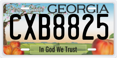 GA license plate CXB8825