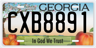 GA license plate CXB8891