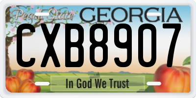 GA license plate CXB8907