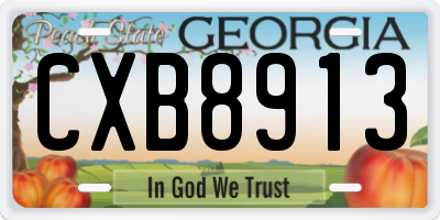 GA license plate CXB8913