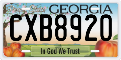 GA license plate CXB8920