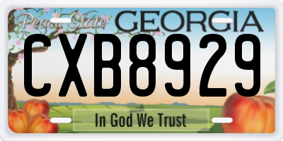 GA license plate CXB8929