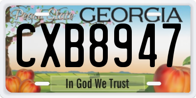 GA license plate CXB8947