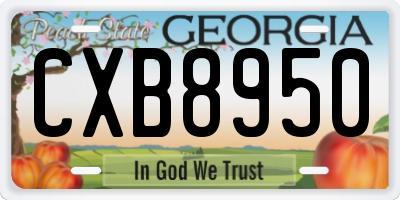 GA license plate CXB8950
