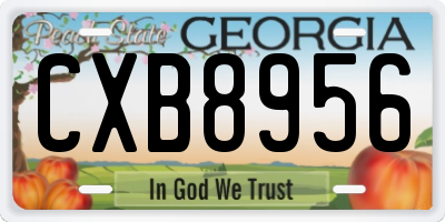 GA license plate CXB8956