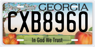 GA license plate CXB8960