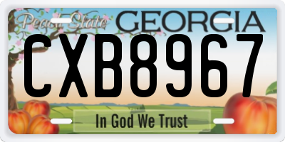 GA license plate CXB8967