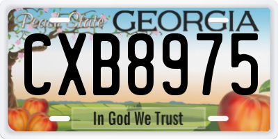 GA license plate CXB8975