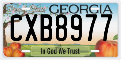 GA license plate CXB8977