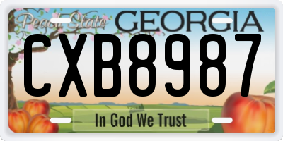 GA license plate CXB8987