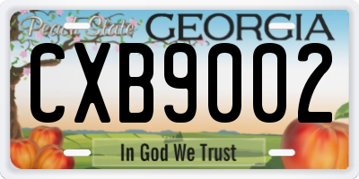 GA license plate CXB9002