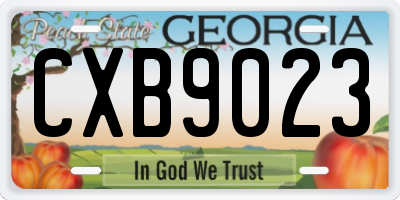 GA license plate CXB9023