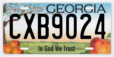 GA license plate CXB9024