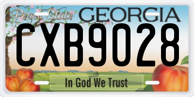 GA license plate CXB9028