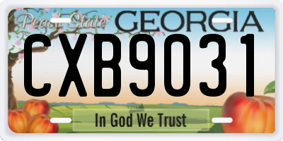 GA license plate CXB9031