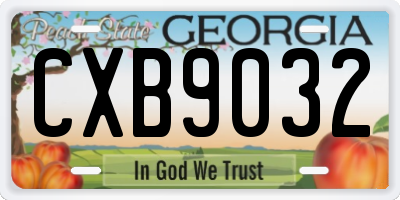 GA license plate CXB9032