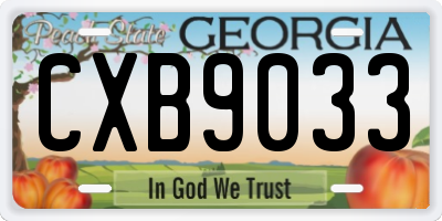 GA license plate CXB9033