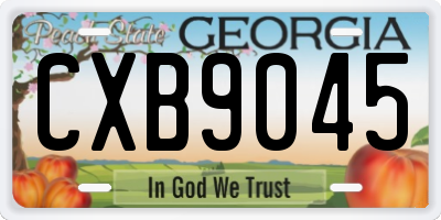 GA license plate CXB9045
