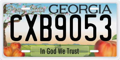 GA license plate CXB9053