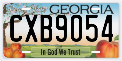 GA license plate CXB9054