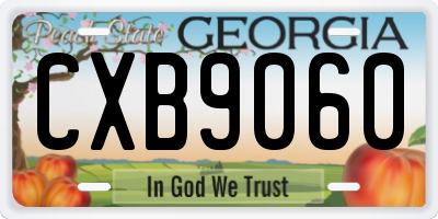 GA license plate CXB9060