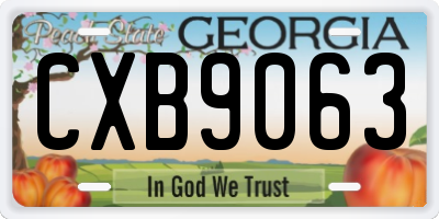 GA license plate CXB9063