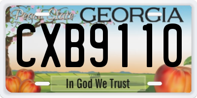 GA license plate CXB9110