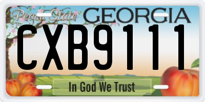 GA license plate CXB9111