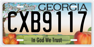 GA license plate CXB9117