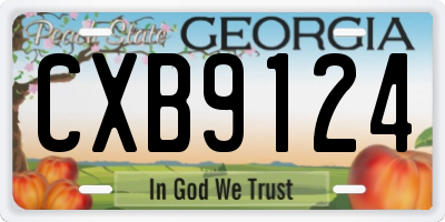 GA license plate CXB9124