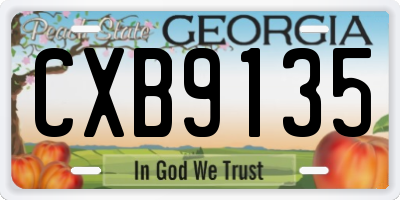 GA license plate CXB9135