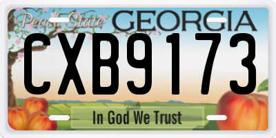 GA license plate CXB9173