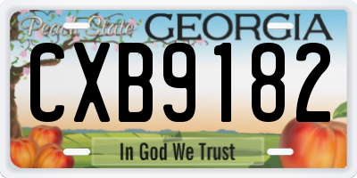 GA license plate CXB9182
