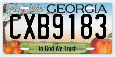 GA license plate CXB9183