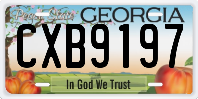 GA license plate CXB9197
