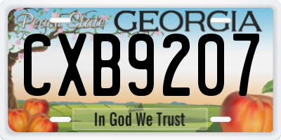GA license plate CXB9207