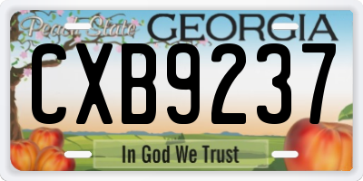 GA license plate CXB9237