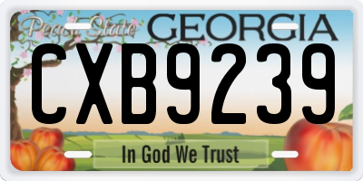 GA license plate CXB9239
