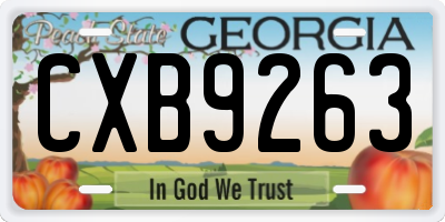 GA license plate CXB9263