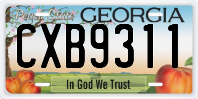 GA license plate CXB9311