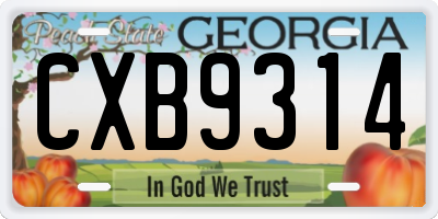 GA license plate CXB9314