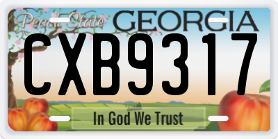 GA license plate CXB9317