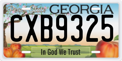 GA license plate CXB9325