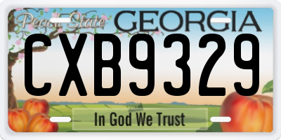 GA license plate CXB9329